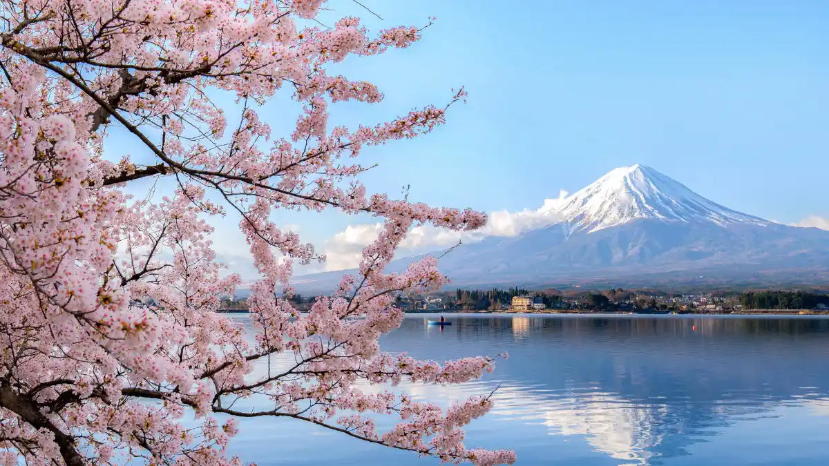 Descubriendo Japón: Un viaje inolvidable